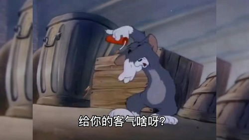 搞笑方言动漫配音猫和老鼠沙雕汤姆又被杰瑞戏耍了笑到肚子痛