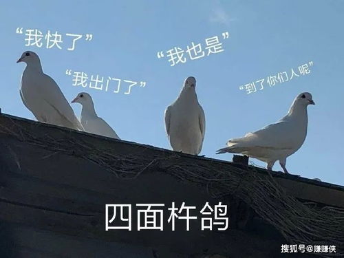 沙雕表情包搞笑gif动态沙雕