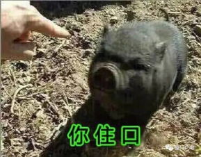 暴雨雷电没有爽约,只是迟到厦门机场多航班取消石狮停课福州20分钟128次雷电