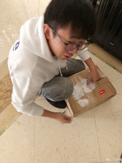 谢娜连续剧式发博为杨迪庆生下一集何时更新