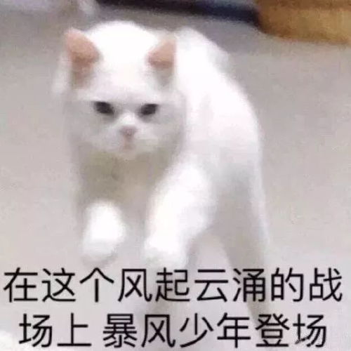 表情包敲搞笑沙雕斗图表情包