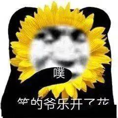这么快的吗