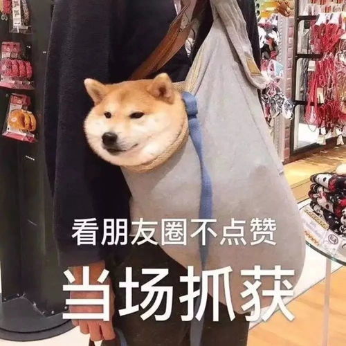 背景图你别皱眉了,我走就是了