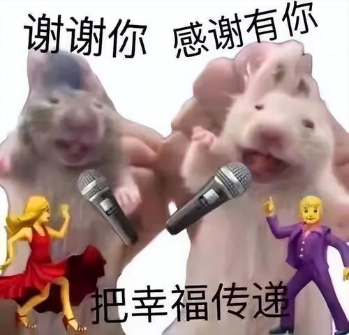 听我说谢谢你的表情包