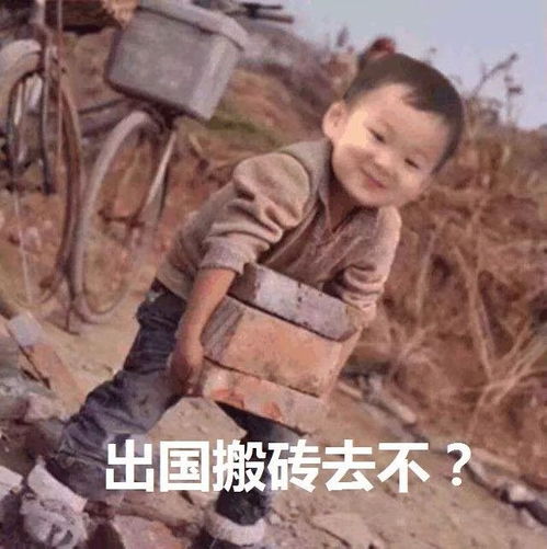 出国搬砖,去不日本建筑工地靠老人干活,急招50万外国劳工