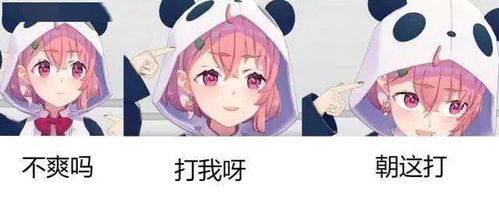 沙雕表情包时不时来社里欺负新人