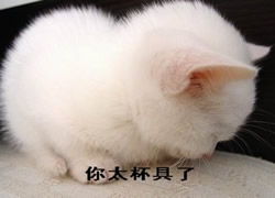 qq表情搞笑qq表情大全第295页