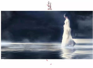 方妃百科秋风吹尽,冬已相至