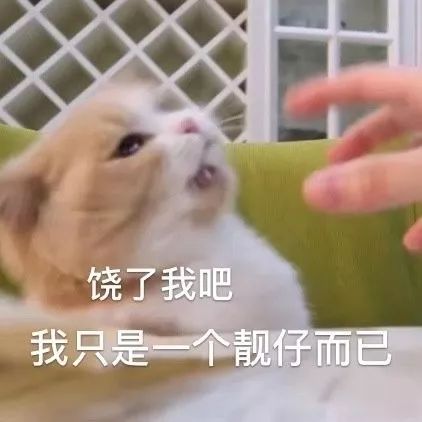 搞笑图片沙雕图片表情包对象