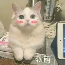 手机是否有灵性