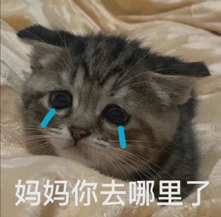 幽默笑话你一个大男人,球轻轻一砸,有必要哭出声嘛