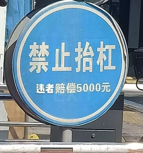 头像一期微沙雕头像