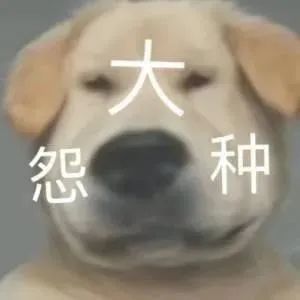 千万不要随便给明星发私信啊啊啊真的笑疯了...
