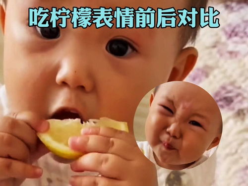 小朋友的表情能有多丰富,吃个柠檬就知道了非人行为搞笑沙雕配音