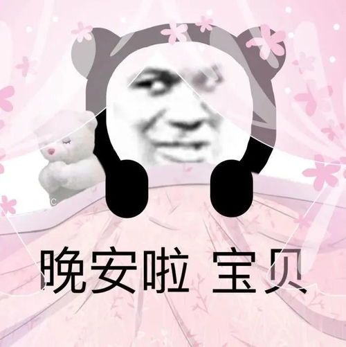 幽默搞笑表情包晚安啦,宝贝