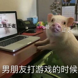 可爱恶搞头像带文字