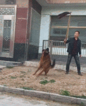 感觉还挺爽