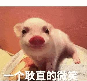女朋友砸了我的电脑,然后我没忍住骂了她,这算家暴