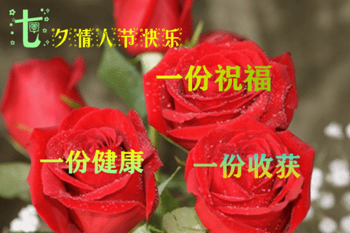 8月14日最漂亮七夕情人节表情图片大全,早晨好动图美图大全