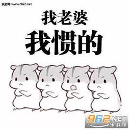 我老婆我惯的表情包仓鼠版我老婆我惯的表情包下载高清无水印乐游网手机下载站