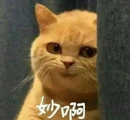 搞笑表情包精选27张一杯茶一包烟混过一天是一天