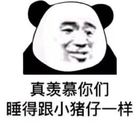 熬夜党专用熊猫头表情包我熬夜,我快乐