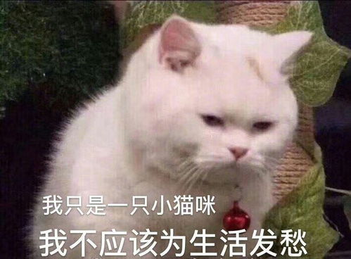 中南财经政法大学的新闻学专业怎么样师资力量如何