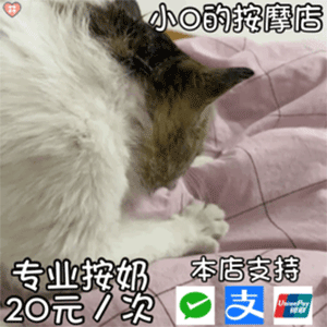 沙雕聊天表情包你就是个弟弟