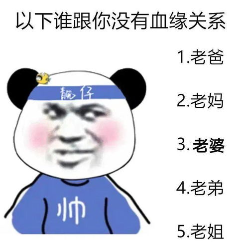 沙雕搞笑表情包i打麻将吗