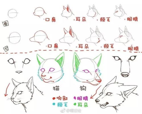 可爱猫头像画法卡通五官