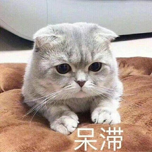 真情实感追星,有用吗