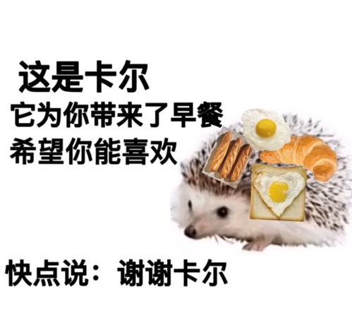 热梗百科谢谢卡尔什么梗