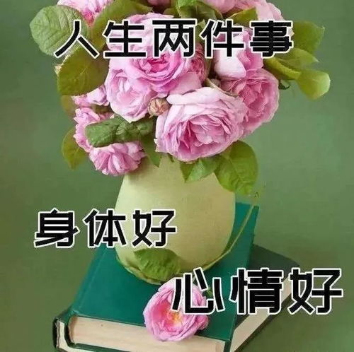 人生知足常乐的一段话早安