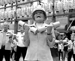 海南日报数字报