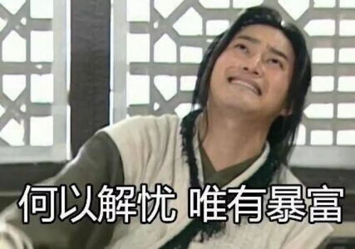 李可云搞笑表情包一块砖