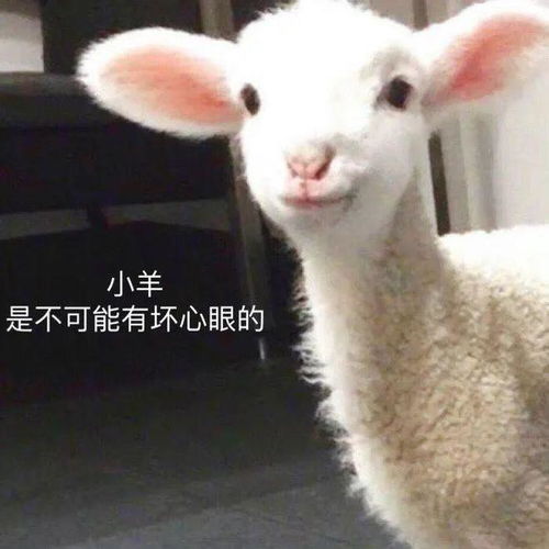 无水印表情包不生气不生气