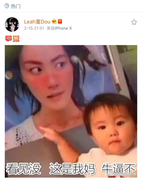 谢娜产后复出,不做主持一姐要和范冰冰周冬雨争最佳女主角
