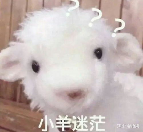 有没有带骚话或者可爱的表情包