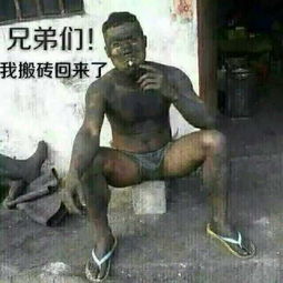 土豪们我搬砖回来了关于搬砖系列表情包