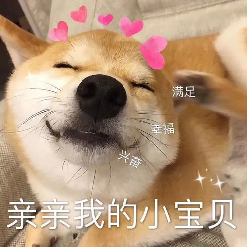 表情包生气了,哄不好的那种