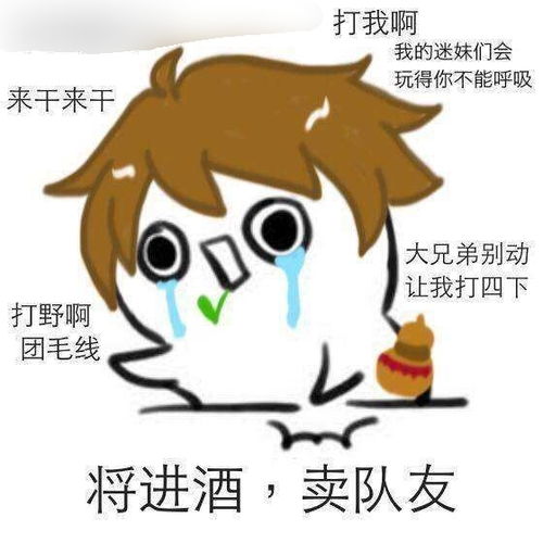 王者荣耀中,你的本命英雄是谁,为什么