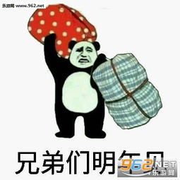 有钱没钱回家过年图片大包小包回家过年的表情包下载乐游网游戏下载