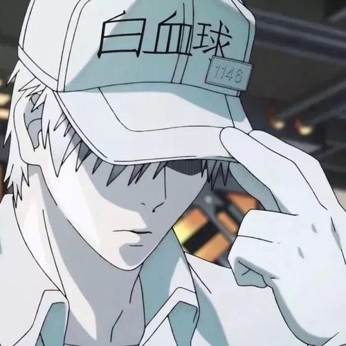 动漫男生头像我渡得过万里狂风,渡得过诗酒年华,却渡不过你的目光