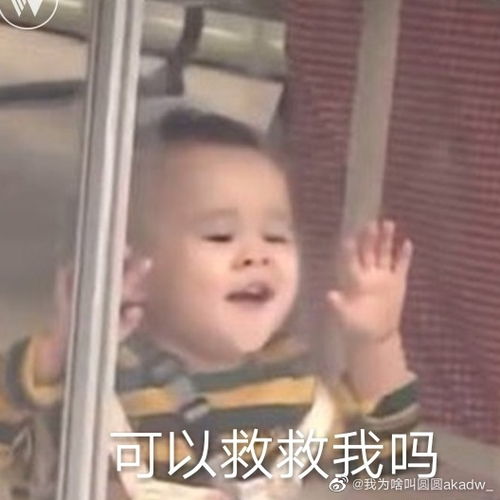 眼镜掉在蹲式马桶上的时候,不要迟疑,迟疑就会败北