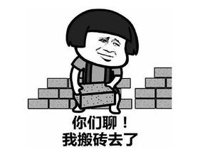 我弟弟想玩这个售价600元的美少女游戏,玩家却买来在工地挖土