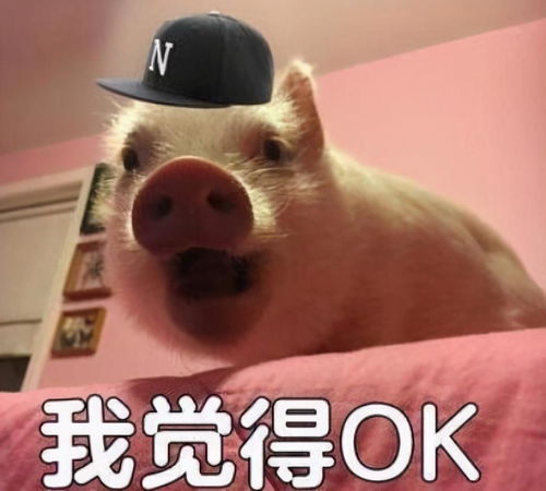 群表情包搞笑图片群里