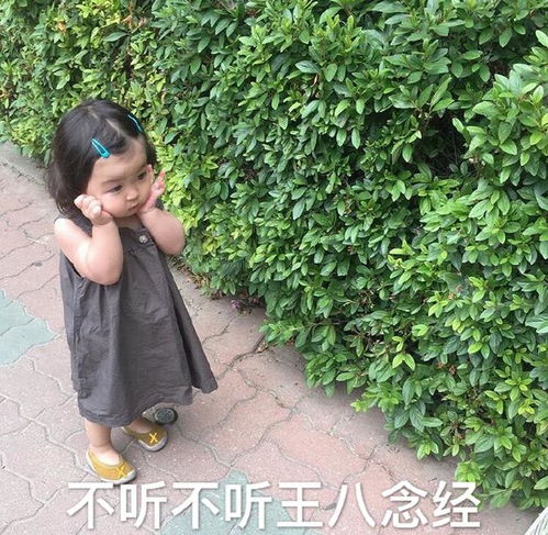 生气时使用的罗熙表情包警告你,别惹我