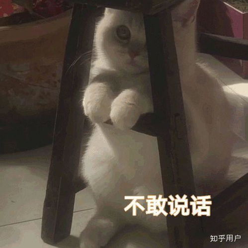 为什么王者荣耀里面那么多恶心人