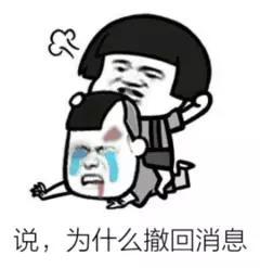 对方总是撤回消息给你一波表情包调侃怼他,皮一下很开心