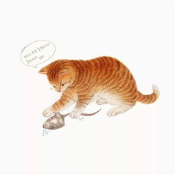 插画超激萌的铲屎官撸猫绘本,看完我也想养一只猫了